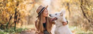 Hundehalsband luxus - Die TOP Favoriten unter den analysierten Hundehalsband luxus
